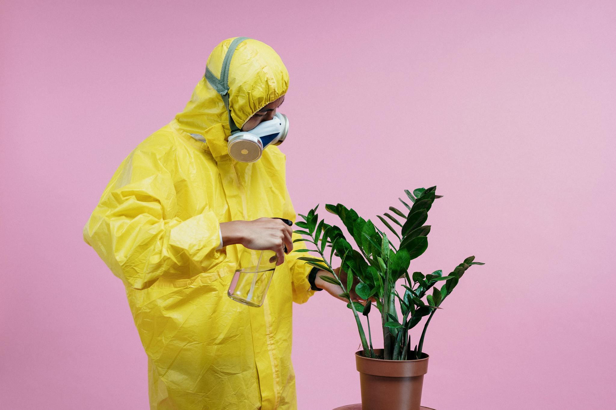 Individual in yellow hazmat suit spraying a potted plant on a pink background.